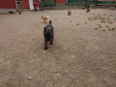 f:id:roukenhome-ann:20190514180244j:plain