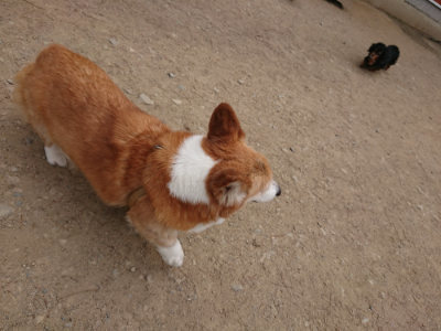 f:id:roukenhome-ann:20190514180358j:plain