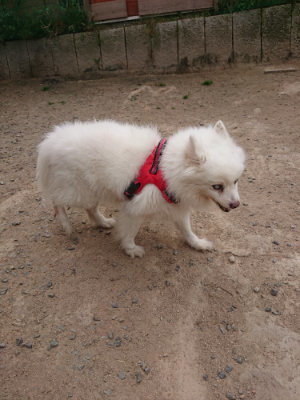 f:id:roukenhome-ann:20190514181515j:plain