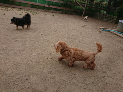 f:id:roukenhome-ann:20190514181523j:plain