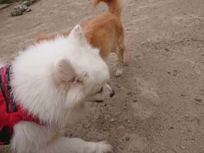 f:id:roukenhome-ann:20190514181538j:plain