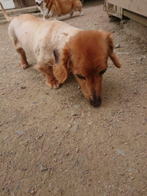 f:id:roukenhome-ann:20190514181543j:plain