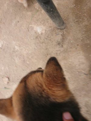f:id:roukenhome-ann:20190514181547j:plain