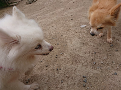 f:id:roukenhome-ann:20190514181552j:plain