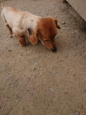 f:id:roukenhome-ann:20190514181557j:plain