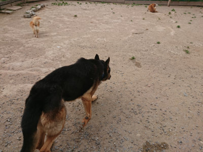 f:id:roukenhome-ann:20190514181613j:plain