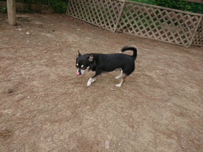 f:id:roukenhome-ann:20190514181623j:plain