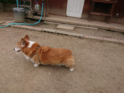 f:id:roukenhome-ann:20190514181716j:plain