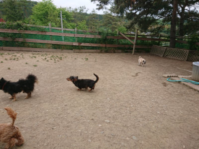 f:id:roukenhome-ann:20190514181729j:plain
