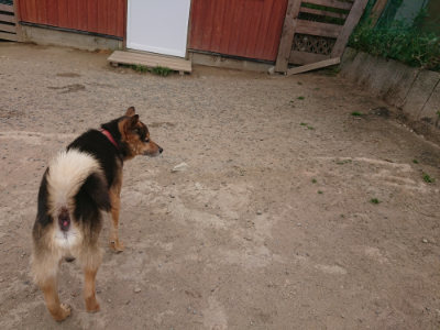f:id:roukenhome-ann:20190514181815j:plain