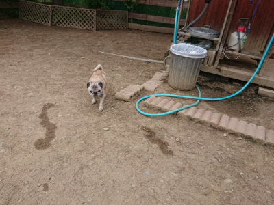 f:id:roukenhome-ann:20190514181828j:plain