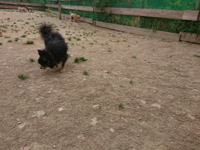f:id:roukenhome-ann:20190514181837j:plain