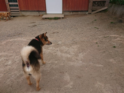 f:id:roukenhome-ann:20190514181844j:plain