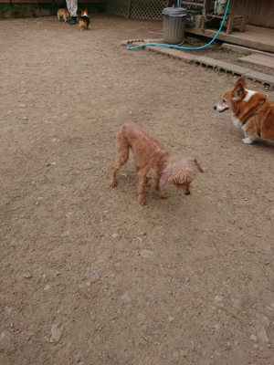 f:id:roukenhome-ann:20190514181856j:plain