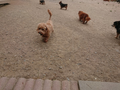 f:id:roukenhome-ann:20190514181925j:plain