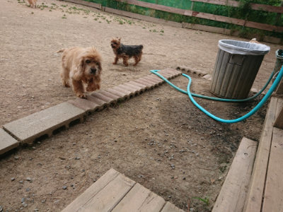 f:id:roukenhome-ann:20190514182456j:plain