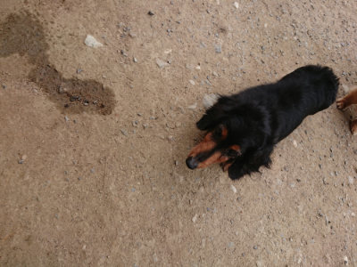 f:id:roukenhome-ann:20190514182514j:plain