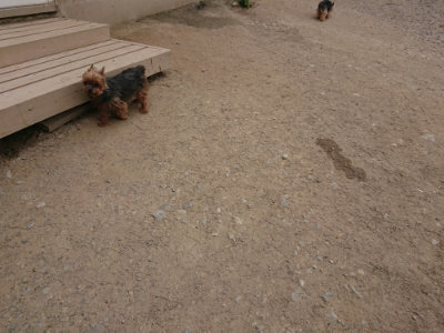 f:id:roukenhome-ann:20190514182613j:plain