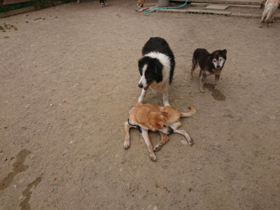 f:id:roukenhome-ann:20190514182628j:plain