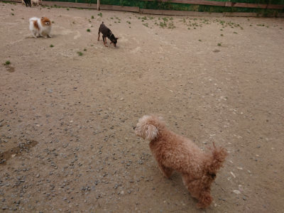 f:id:roukenhome-ann:20190514182644j:plain