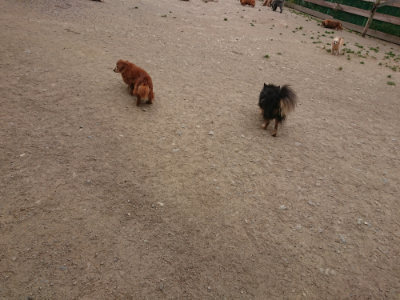 f:id:roukenhome-ann:20190514182649j:plain