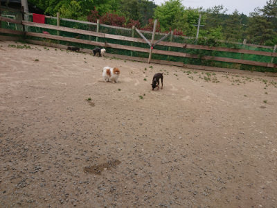 f:id:roukenhome-ann:20190514182710j:plain