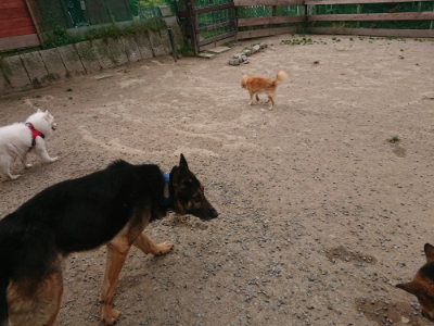 f:id:roukenhome-ann:20190514182721j:plain
