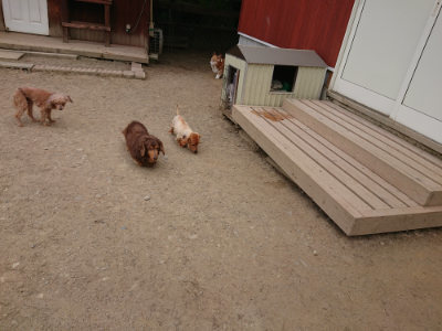 f:id:roukenhome-ann:20190514182726j:plain