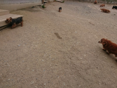 f:id:roukenhome-ann:20190514182731j:plain