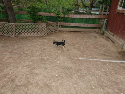 f:id:roukenhome-ann:20190514182736j:plain