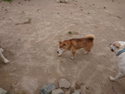 f:id:roukenhome-ann:20190514182742j:plain