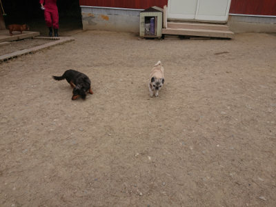 f:id:roukenhome-ann:20190514182746j:plain