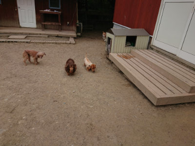 f:id:roukenhome-ann:20190514182804j:plain