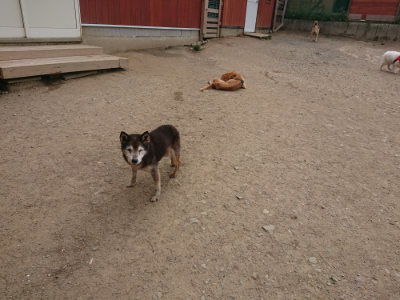 f:id:roukenhome-ann:20190514182933j:plain