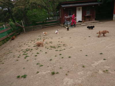 f:id:roukenhome-ann:20190514183107j:plain