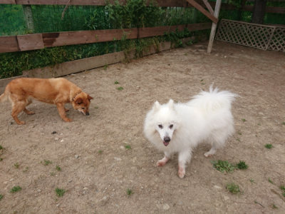 f:id:roukenhome-ann:20190514184434j:plain