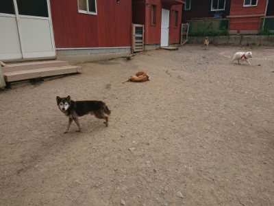 f:id:roukenhome-ann:20190514184501j:plain