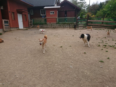 f:id:roukenhome-ann:20190514184516j:plain