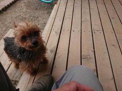 f:id:roukenhome-ann:20190514184520j:plain