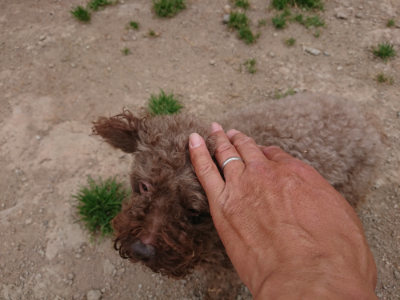 f:id:roukenhome-ann:20190514184532j:plain