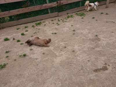 f:id:roukenhome-ann:20190514184801j:plain