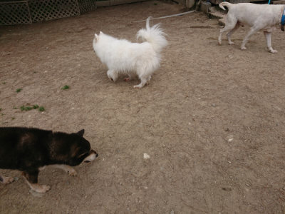 f:id:roukenhome-ann:20190514184838j:plain