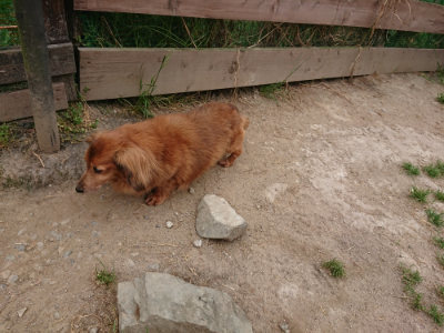 f:id:roukenhome-ann:20190514185038j:plain