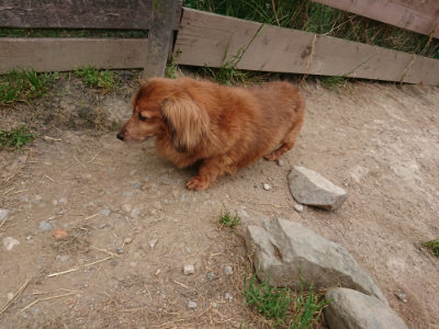 f:id:roukenhome-ann:20190514185044j:plain