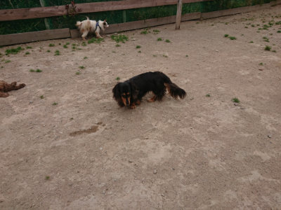f:id:roukenhome-ann:20190514185209j:plain