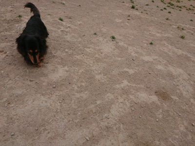 f:id:roukenhome-ann:20190514185249j:plain
