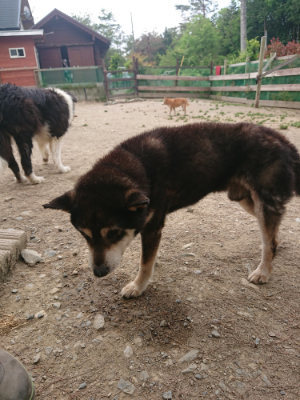 f:id:roukenhome-ann:20190514185308j:plain