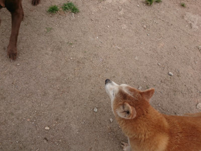 f:id:roukenhome-ann:20190514185320j:plain