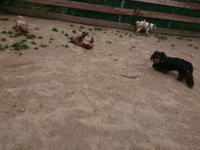 f:id:roukenhome-ann:20190514185326j:plain