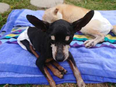 f:id:roukenhome-ann:20190514203231j:plain